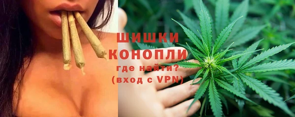 ГАЛЛЮЦИНОГЕННЫЕ ГРИБЫ Осташков