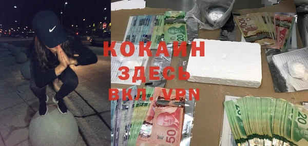 дживик Осинники
