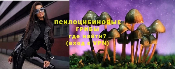 ECSTASY Алексеевка